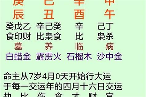 八字 丁火|八字专论丁日命例 (丁火八字实例详解)